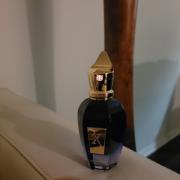 Torino22 Xerjoff perfume - a new fragrance for women and men 2022