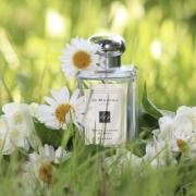 White jasmine & mint jo online malone