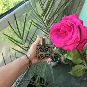 Photo by Haileyjokerr