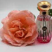 Rose Pompon - Eau de Parfum  Goutal Paris – Goutal Paris US