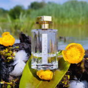 Caligna L'Artisan Parfumeur perfume - a fragrance for women and men 2013