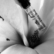 Colonia Intensa Eau de Cologne Spray for Men by Acqua di Parma – Fragrance  Outlet