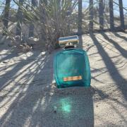 Photo by HannahRosesAreRed