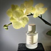 Vanilla Planifolia Chloé perfume - a fragrance for women 2020