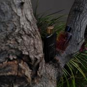 Photo by MrFragrance1