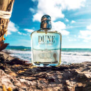 香水(男性用) DUNE POUR HOMME (EAU DE TOILETTE) 30ml Amazon.com : Dune By Christian Dior For Men. Eau De Toilette