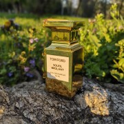Soleil Brûlant Tom Ford perfume - a fragrância Compartilhável 2021