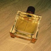 Terre d'Hermes Parfum Hermès cologne - a fragrance for men 2009