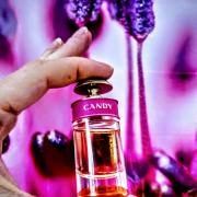 Prada Candy Prada perfume - a fragrance for women 2011