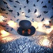 Photo by Лейка@@@