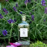 Photo by Маривиктори