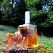 Charlie Blue Revlon perfume - a fragrance for women 1973