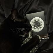 Photo by келси:3