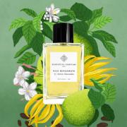 Nice Bergamote Essential Parfums perfume - a fragrance for women and ...