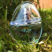 L'Eau Pure Kenzo parfum - un nou parfum unisex 2025