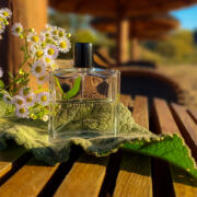 Tea Tonique Miller Harris perfume - a fragrance for women Tea Tonique Miller Harris perfume - a fragrance for women