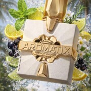 Platine Blanc Aromatix X French Avenue perfume - a novo fragrância