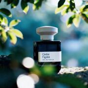 Cèdre Figalia Atelier Materi perfume - a fragrance for women and