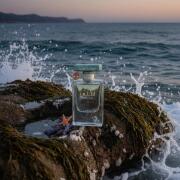 Photo by Mustaphaboulanouar