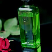Eau de Pamplemousse Rose Hermès perfume - a fragrance for women