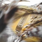 Photo by Sophisticated_DLo