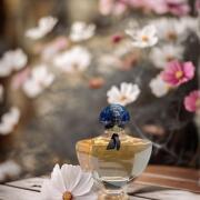 Shalimar Eau de Parfum Guerlain perfume - a fragrance for