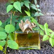 jungle kenzo fragrantica