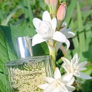 【貴重・レア】美味しそうなケーキの香り♡Lostmarc’h LANN AEL Lann-Ael Lostmarch perfume - a fragrance for women 2007