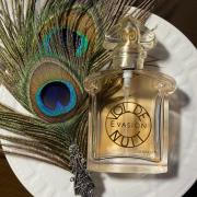 希少 ゲラン VOL DE NUIT EVASION 夜間逃飛行 50ml 香水 - メルカリ