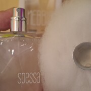 Nebbia Spessa Filippo Sorcinelli perfume - a fragrance for women
