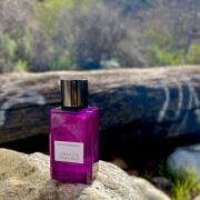 banana republic tobacco & tonka bean fragrantica fragancia Delightfully fun and gourmand Banana Republic Tobacco & Tonka