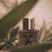 Wulong Cha X Nishane perfume - a fragrance for women and men 2023