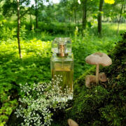 Photo by Lady Winter