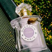 香水(女性用) GUERLAIN INSOLENCE 75ml Eau de Parfum Insolence Eau de Parfum Guerlain perfume - a fragrance for