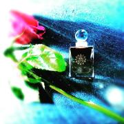 Tribute Amouage perfume - a fragrance for women and men 2009