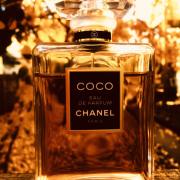 Coco Eau de Parfum Chanel perfume - a fragrance 1984