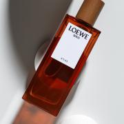 loewe atlas fragrantica