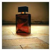Essencial Intenso Natura cologne - a fragrance for men 2013