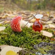 Photo by Loyshamarina