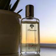 Daytona 10 Panama 1924 cologne - a fragrance for men 2013