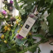 Jo Malone Melancholy Thistle コロン 30ml Jo Malone London Melancholy Thistle Cologne, Full Size 1oz
