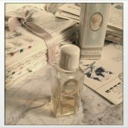 Photo by Лейка@@@