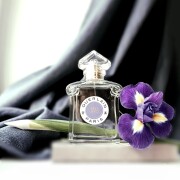 Après L'Ondée Eau de Toilette Guerlain perfume - a fragrância
