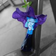 Chapeau Bleu Marina Picasso perfume - a fragrance for women 1994