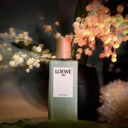LOEWE AIRE 香水 50ml SUTILIZA LOEWE Aire Sutileza 50ml | LOEWE Perfumes
