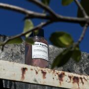 Photo by porcupineKazi