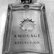 Reflection Man Amouage cologne a fragrance for men 2006