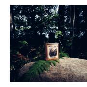 Photo by Eugenia4one