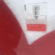 Photo by Люблю цветы