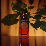 Spice D'Arno Electimuss perfume - a fragrance for women and men 2024